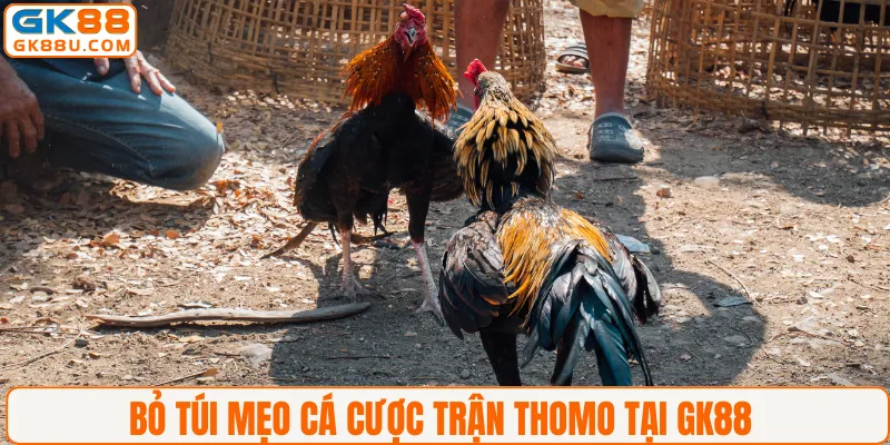 Bỏ túi mẹo cá cược trận Thomo tại GK88