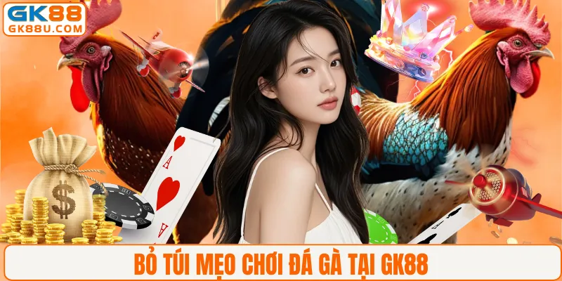 Bỏ túi mẹo chơi đá gà tại GK88