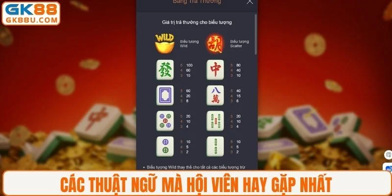Các thuật ngữ mà hội viên hay gặp nhất 