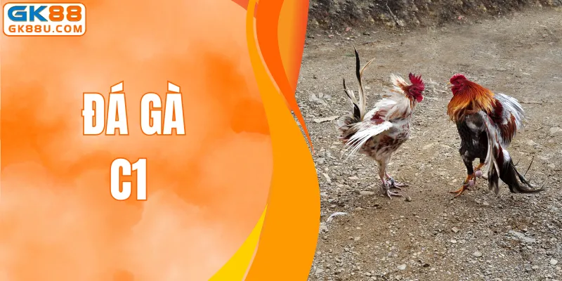Đá Gà C1