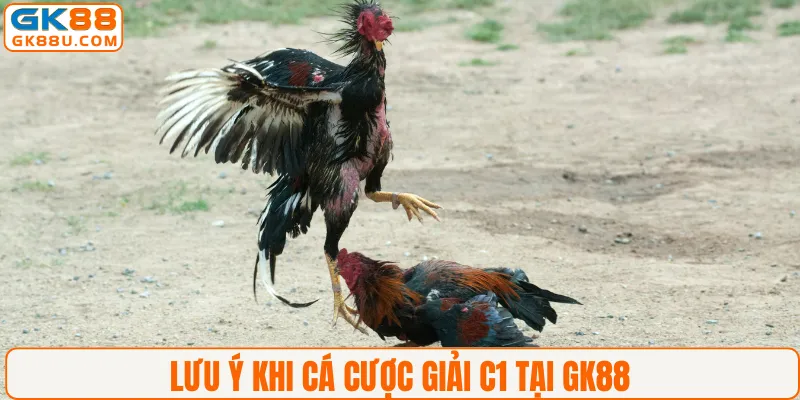 Lưu ý khi cá cược giải C1 tại GK88