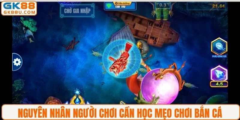 Nguyên nhân người chơi cần học mẹo chơi bắn cá 