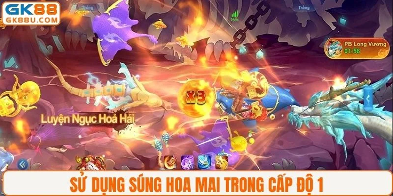 Sử dụng súng Hoả Mai trong cấp độ 1 