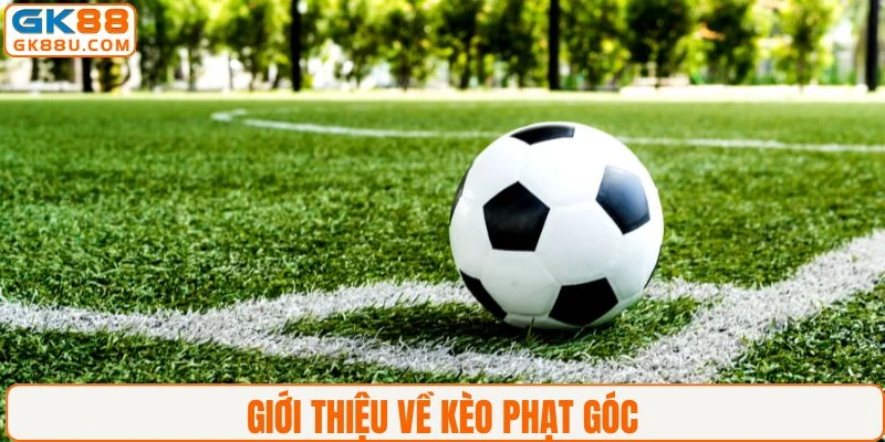 Thông tin tổng quát về kèo phạt góc